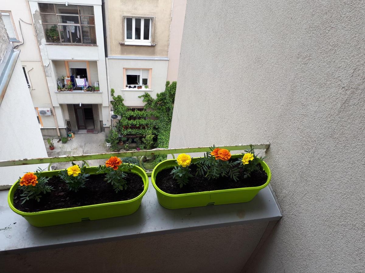 Cozy Hikers Flat Apartment Belgrade Exterior photo